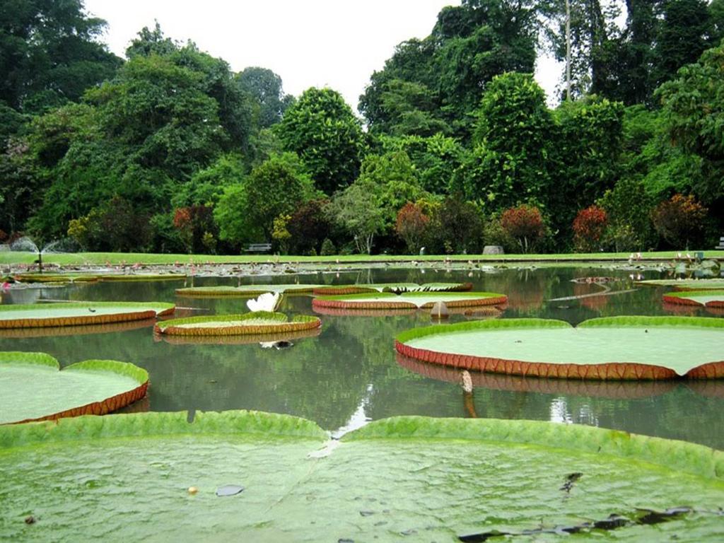 Bogor Valley Hotel מראה חיצוני תמונה